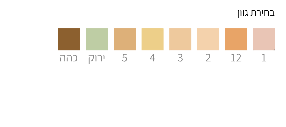 קונסילר נוזלי Creamy Concealer